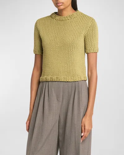Co Knit Shrunken Tee In Sage