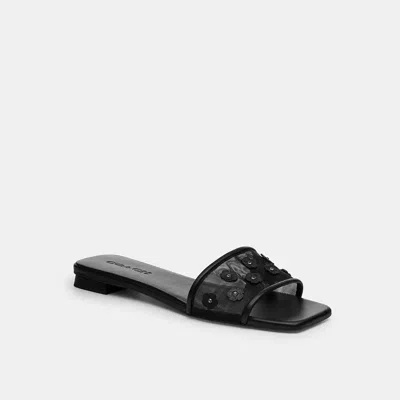 Coach Flat Sandal With Tea Rose