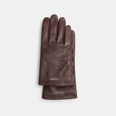 Coach In Brown