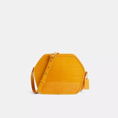 Coach Restored Zip Geometric Pouch In Alligator