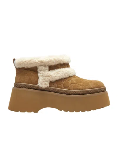 Coach 65mm Christina Platform Boots In Brown