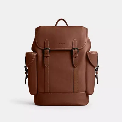 Coach In Brown