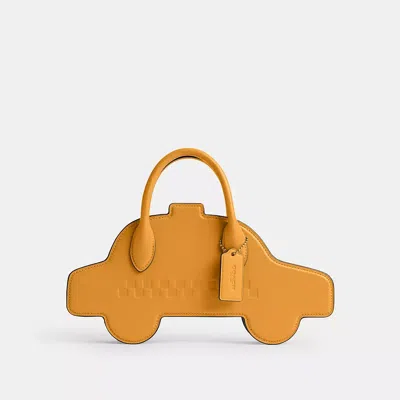 Coach In Brown