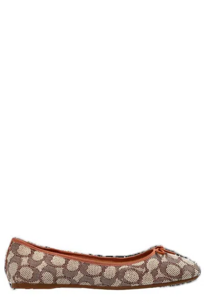 Coach Abigail Ballet Flats In Brown