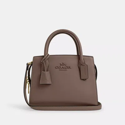 Coach Andrea Carryall Bag In Brown
