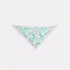Coach Andrea Paisley Print Silk Triangle Scarf In Multi