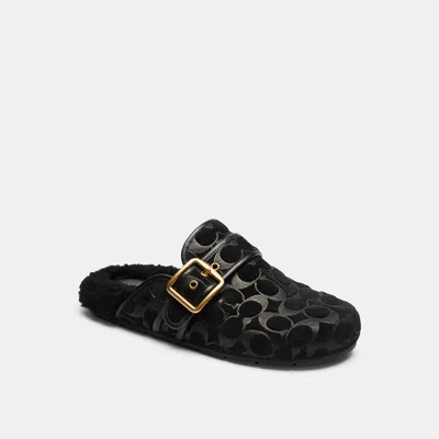 Coach Archival Buckle Clog With Signature Suede And Shearling In Black