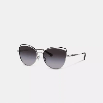 Coach Bandit Wire Oval Sunglasses In Grey Gradient