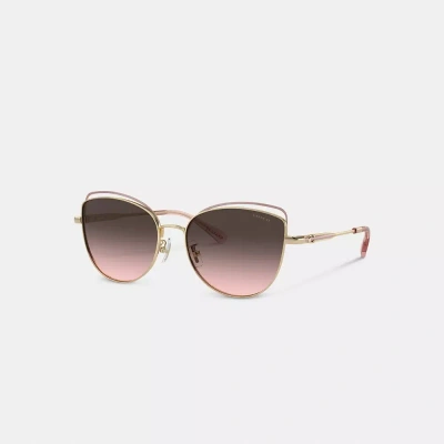 Coach Bandit Wire Oval Sunglasses In Grey Pink Gradient