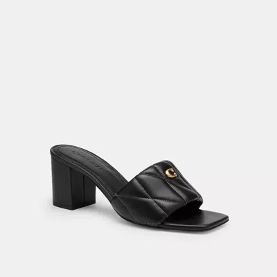 Coach In Black
