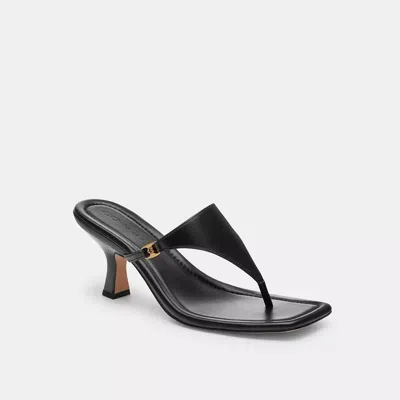 Coach In Black