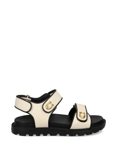 Coach 브린 로고 샌들 In Black