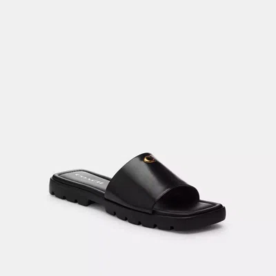 Coach In Black