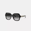 Coach In Black
