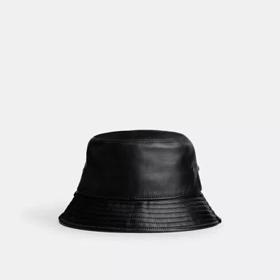 Coach In Black