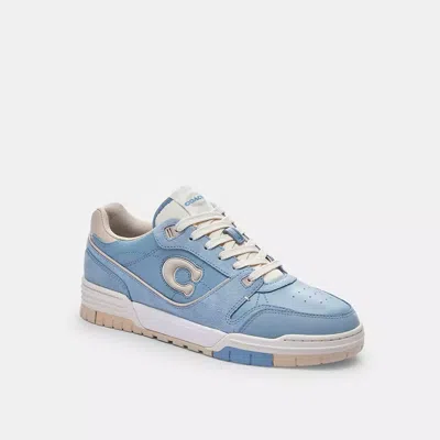 Coach In Bluebell