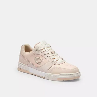 Coach In Blush