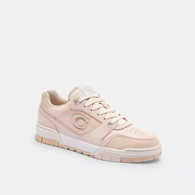 Coach In Blush