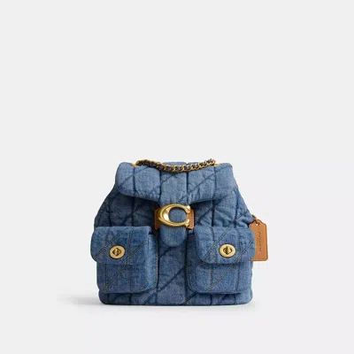 Coach In Brass/indigo