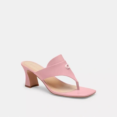 Coach Bree Sandal In Soft Pink