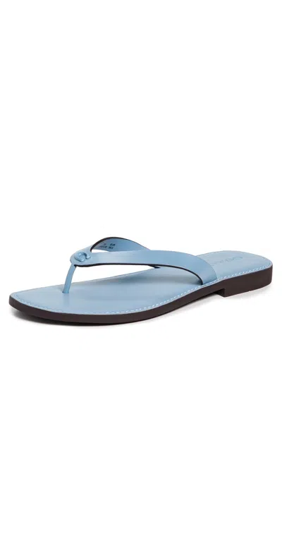 Coach Brianna Flip Flops Bluebell