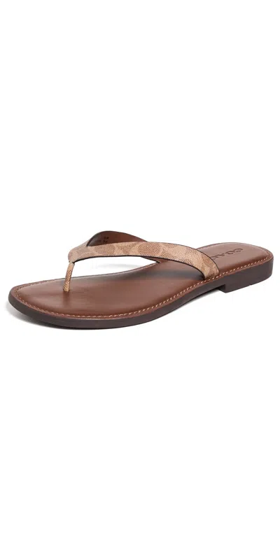 Coach Brianna Flip Flops Brown