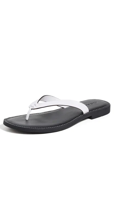 Coach Brianna Flip Flops Optic White