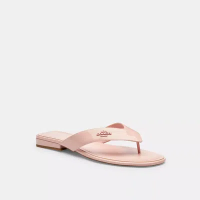 Coach Bridgette Sandal In Pink