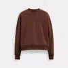 Coach In Brown