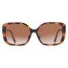 Coach Brown Gradient Square Ladies Sunglasses Hc8376u 512013 56 In Brown