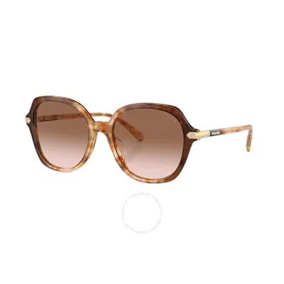 Coach Brown Pink Gradient Oversized Ladies Sunglasses Hc8377u 57753c 55