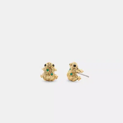 Coach Brushed Frog Stud Earrings In Gold