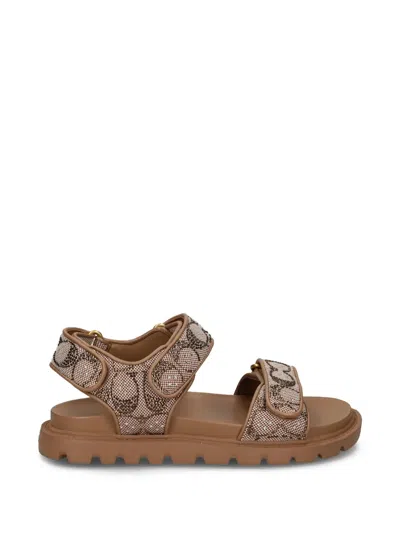 Coach Brynn Logo Sandals In Neutral