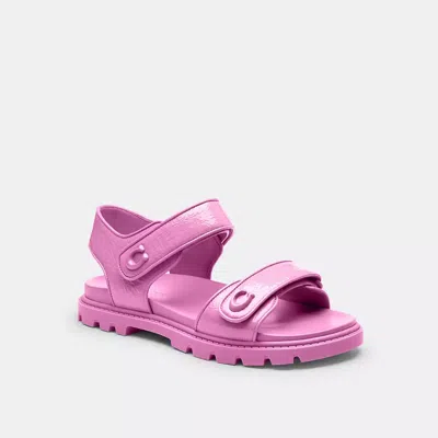 Coach Brynn Sandal