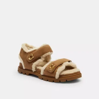 Coach Brynn Sandal In Brown