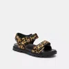 Coach Brynn Sandal With Leopard Print In Animal Print