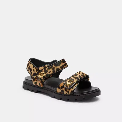 Coach Brynn Sandal With Leopard Print In Animal Print
