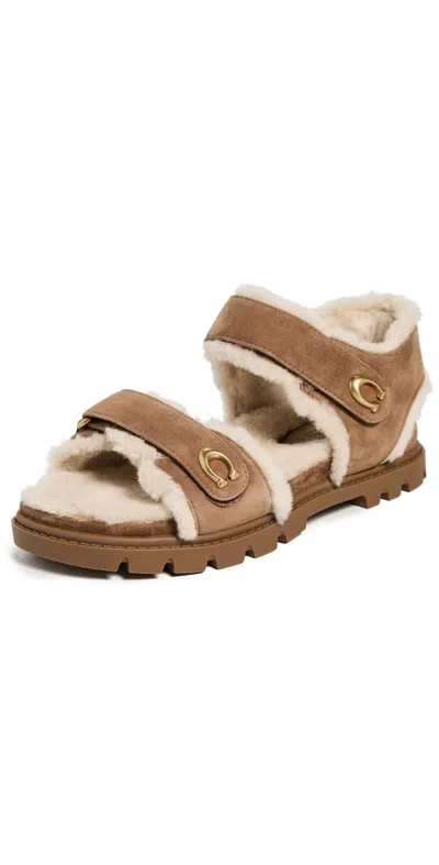 Coach Brynn Shearling Sandals Coconut/natural In Brown