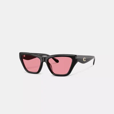 Coach C Hardware Cat Eye Sunglasses In Black