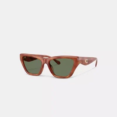 Coach C Hardware Cat Eye Sunglasses In Brown