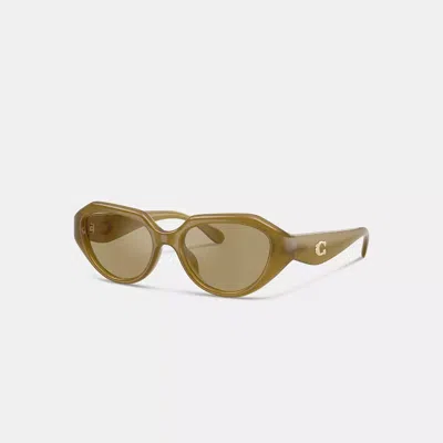 Coach C Hardware Geometric Sunglasses In Green