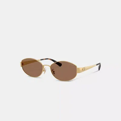 Coach C Hardware Metal Narrow Oval Sunglasses In Brown