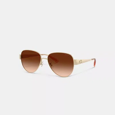Coach C Hardware Metal Pilot Sunglasses In Brown