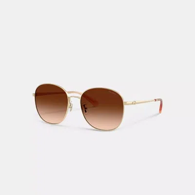 Coach C Hardware Metal Round Sunglasses In Multi
