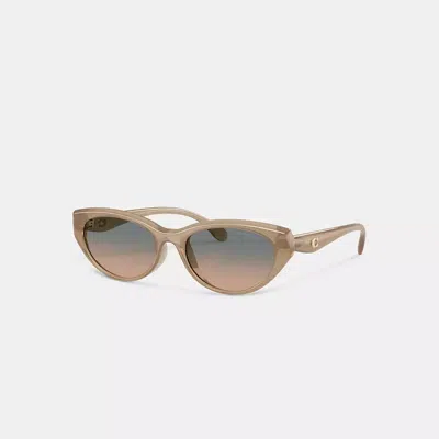 Coach C Hardware Oval Cat Eye Sunglasses In Brown