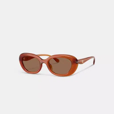 Coach C Hardware Round Sunglasses In Brown