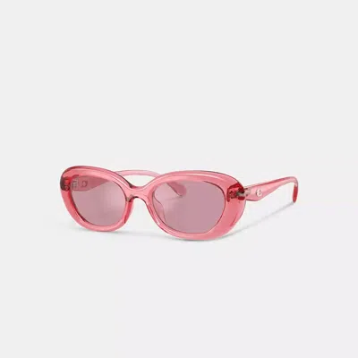 Coach C Hardware Round Sunglasses In Pink