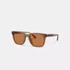 Coach C Hardware Textured Temple Square Sunglasses In Amber