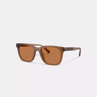 Coach C Hardware Textured Temple Square Sunglasses In Amber