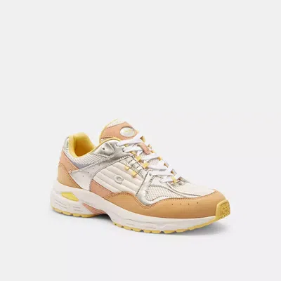 Coach C301 Sneaker In Beechwood/taupe